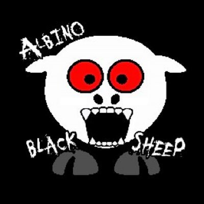 Albino black sheep